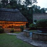 Chimps and Gorillas Accommodations