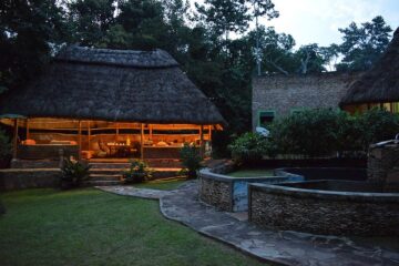 Chimps and Gorillas Accommodations