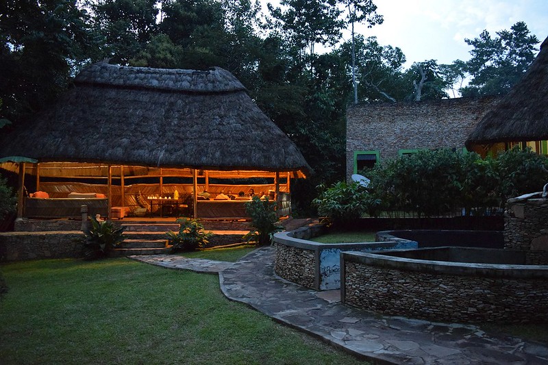 Chimps and Gorillas Accommodations