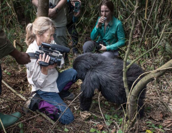 3 Day Gorilla Trekking Rwanda
